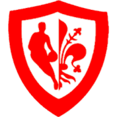 Logo Nuova Pallacanestro Firenze