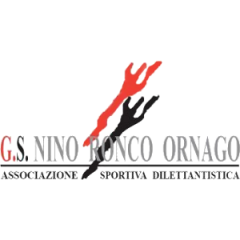 Logo Nino Ronco Ornago