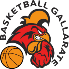 Logo BasketBall Gallarate