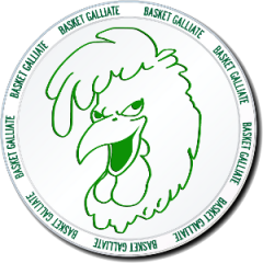 Logo Basket Galliate