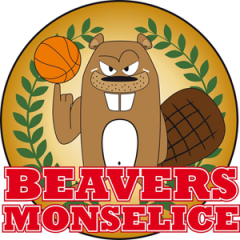 Logo Monselice Basket sq.B