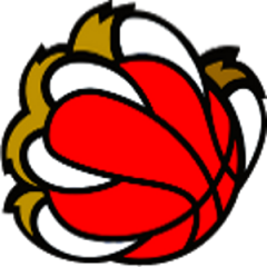 Logo New Basket Sal&ograve;