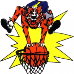 Logo Basket S.Agnese
