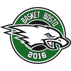 Logo Basket 2016 Bosto Varese