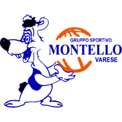 Logo Montello Malnate