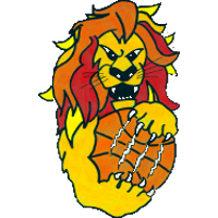 Logo Basket Bardolino