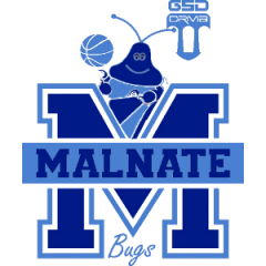 Logo Basket Malnate