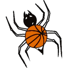 Logo Basket Stezzano