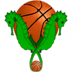 Logo Basket Villa S. Giovanni