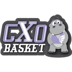 Logo CXO Basket Iseo