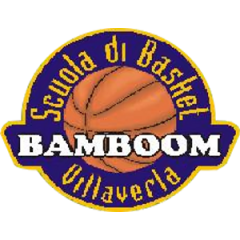 Logo Pall. Villaverla