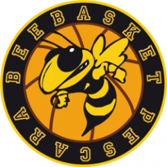 Logo Bee Basket Pescara