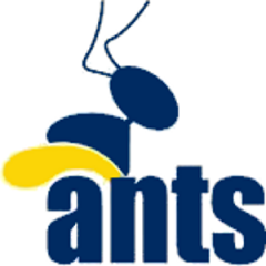 Logo Basket Club Ants