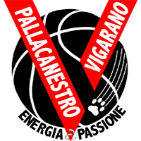 Logo Pall2008 Vigarano