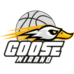 Logo Goose Basket Mirano
