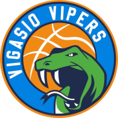 Logo Vigasio Vipers
