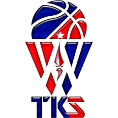 Logo Teknical Sport Massafra