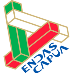 Logo Endas Capua