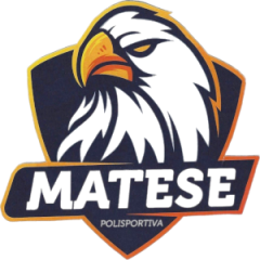 Logo Polisportiva Piedimonte Matese S.S.D.