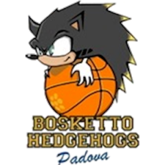 Logo Hedgehogs Padova